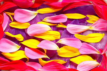 Similar image 10499857