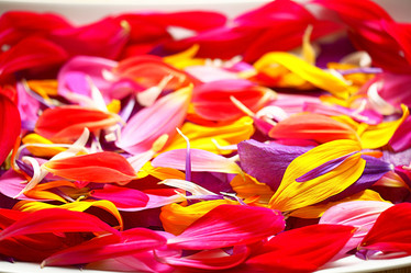 Similar image 10499859