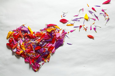 Similar image 10499861