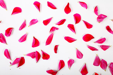 Similar image 10499863