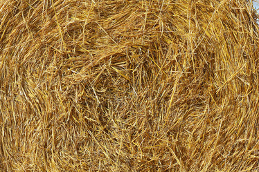 Similar image 10499865