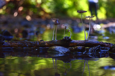 Similar image 10499866