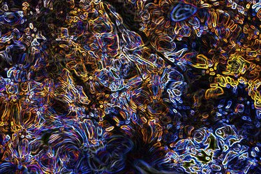 Similar image 10499870