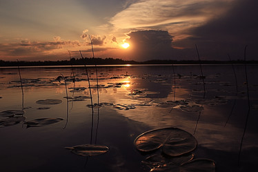 Similar image 10499871