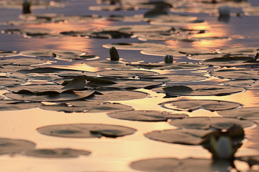 Similar image 10499872