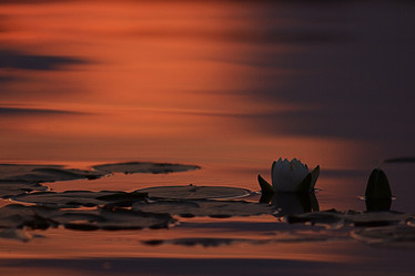 Similar image 10499873