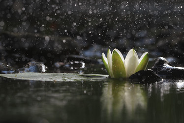 Similar image 10499874