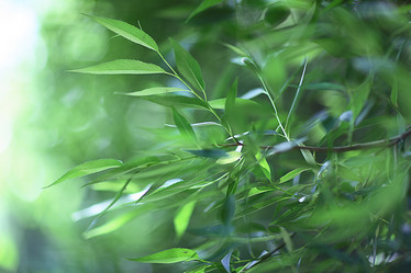 Similar image 10499875