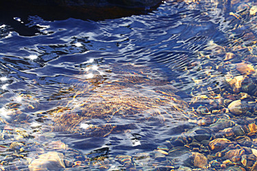 Similar image 10499877