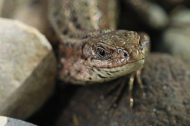 Similar image 10499882