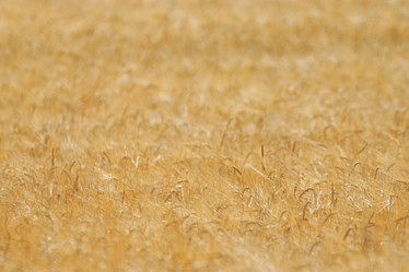 Similar image 10499885