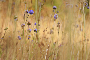 Similar image 10499886