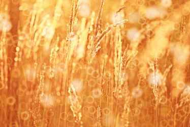 Similar image 10499887