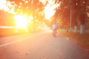 Similar image 10499893