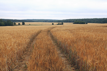 Similar image 10499894