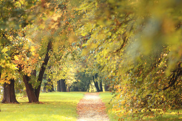 Similar image 10499896