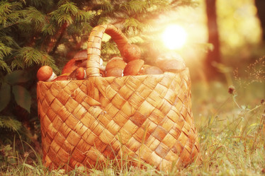 Similar image 10499897