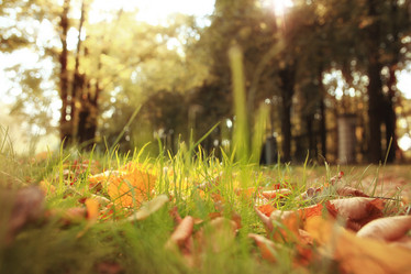 Similar image 10499899