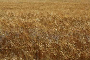 Similar image 10499901