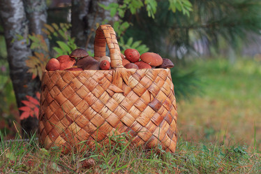 Similar image 10499903