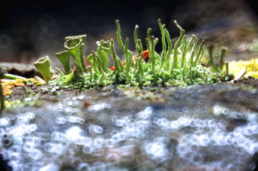 Similar image 10499909