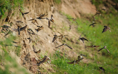 Similar image 10499910