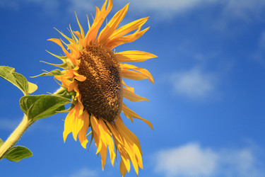 Similar image 10499923