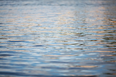 Similar image 10499924