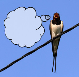 Similar image 10499926