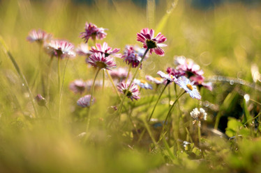 Similar image 10499928