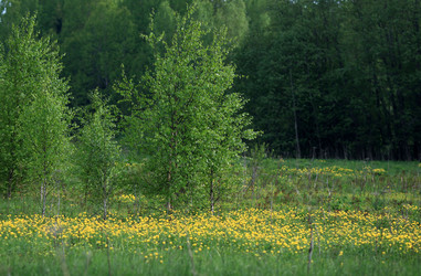 Similar image 10499930