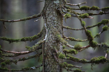 Similar image 10499932