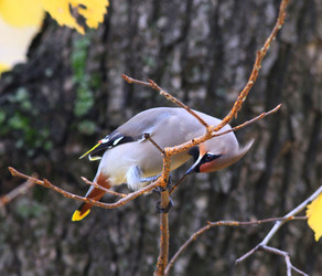 Similar image 10499938