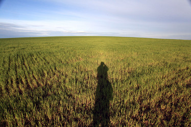 Similar image 10499939