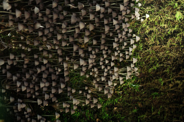 Similar image 10499941