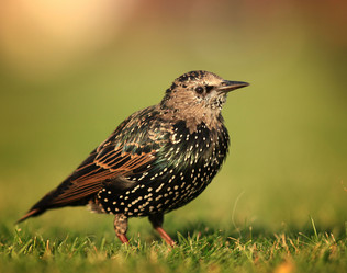 Similar image 10499943