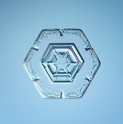 Similar image 10499950