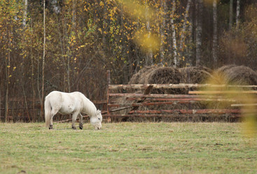 Similar image 10499956