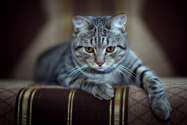 Similar image 10499957