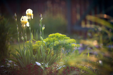 Similar image 10499959