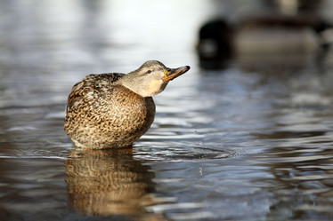 Similar image 10499964