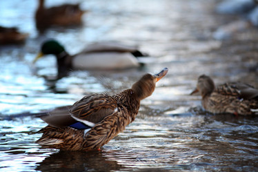 Similar image 10499966