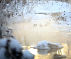 Similar image 10499968