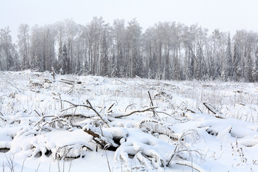 Similar image 10499969