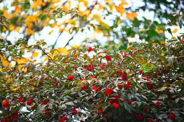 Similar image 10499975