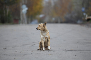 Similar image 10499978