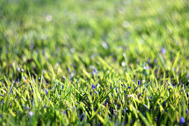 Similar image 10499979