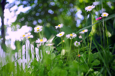 Similar image 10499980