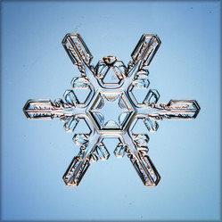 Similar image 10499989