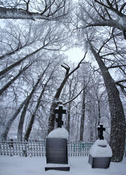 Similar image 10500000